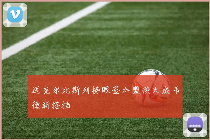 迈克尔比斯利榜眼签加盟热火成韦德新搭档