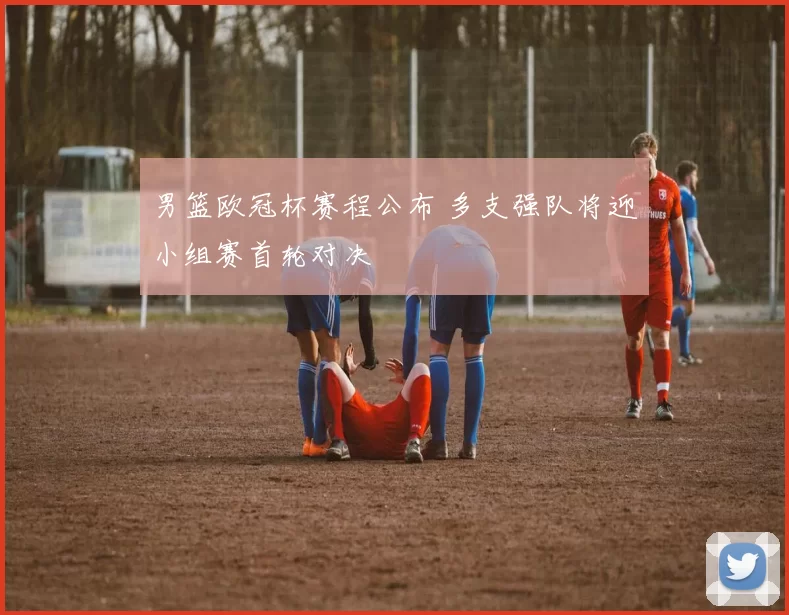 男篮欧冠杯赛程公布 多支强队将迎小组赛首轮对决